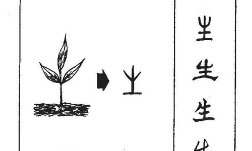 龙眼叶煮水外洗功效与禁忌-龙眼叶煮水外洗功效与作用-龙眼叶煮水最忌三种食物,中国龙眼叶煮水外洗功效网站